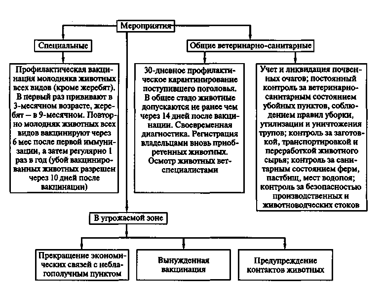 Туберкулин Для Крс Инструкция