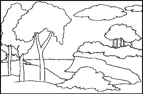 Контурные картинки природы